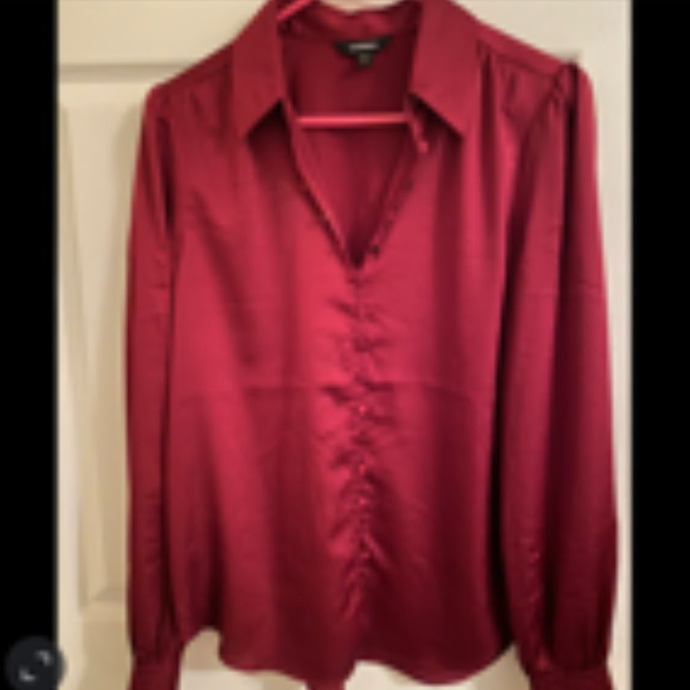 Express Button Down Medium Dress Shirt